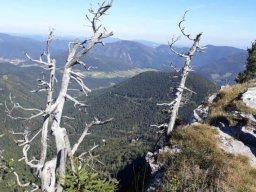 2018 Gauermannhütte (16)